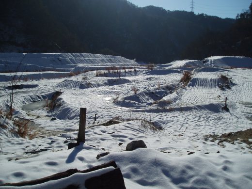 オートパーク　クワ