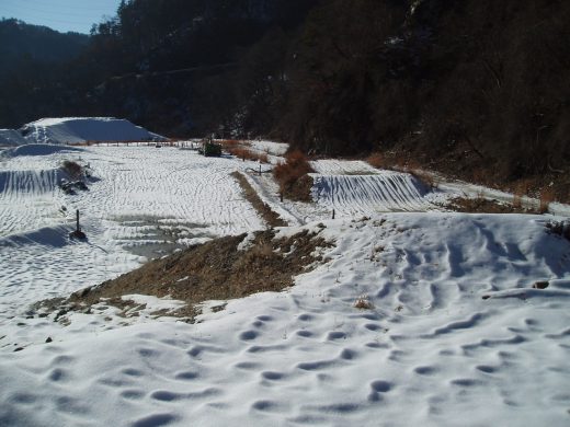 オートパーク　クワ