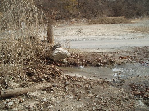 オートパーク　クワ