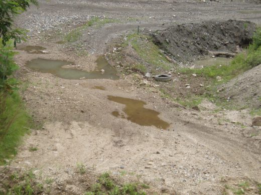 オートパーク　クワ