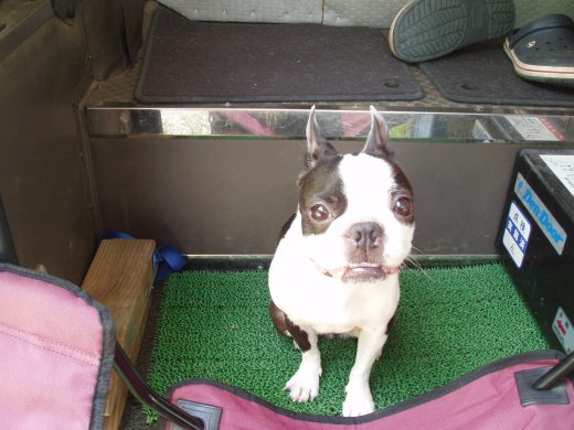 オートパーク　クワ