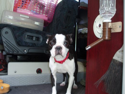 オートパーク　クワ