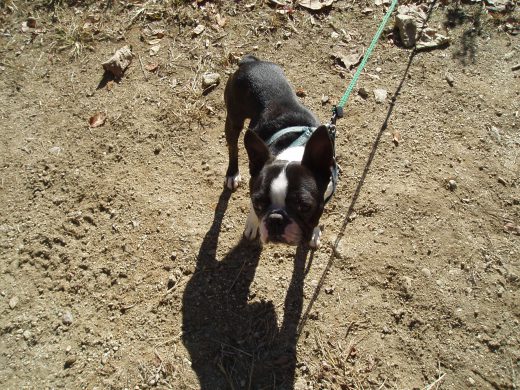 オートパーク　クワ