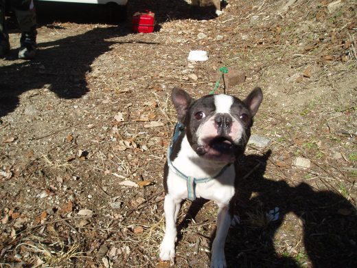 オートパーク　クワ