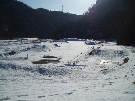 オートパーク　クワ