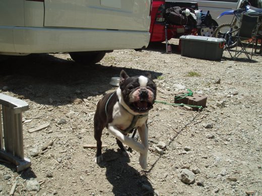 オートパーク　クワ