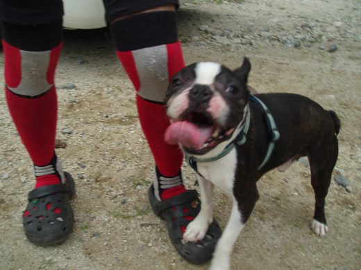 オートパーク　クワ