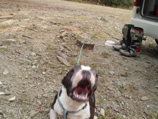 オートパーク　クワ