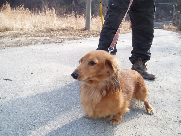 オートパーク　クワ