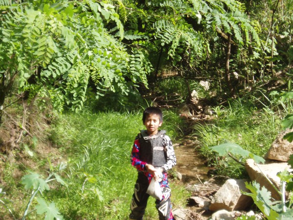 オートパーク　クワ