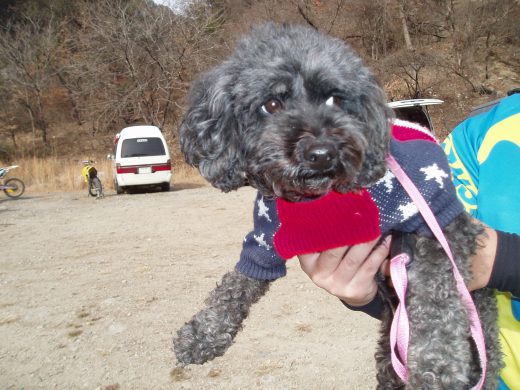 オートパーク　クワ