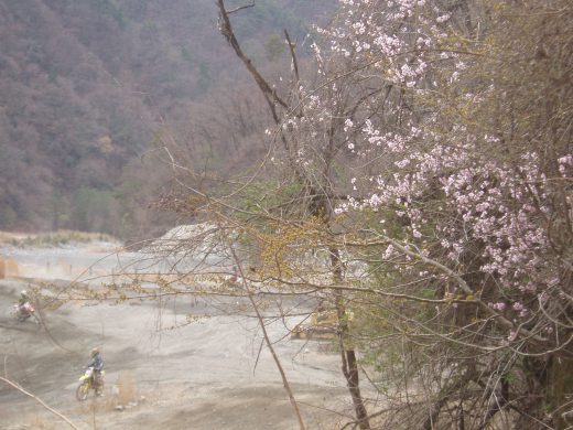 オートパーク　クワ