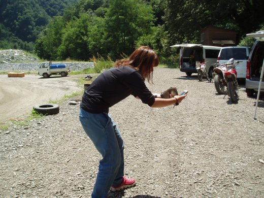 オートパーク　クワ