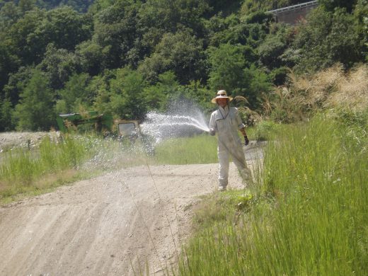 オートパーク　クワ