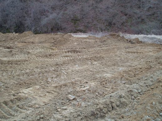 だいぶ、平らになってきました