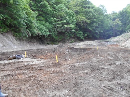 水抜きの池を作りました。