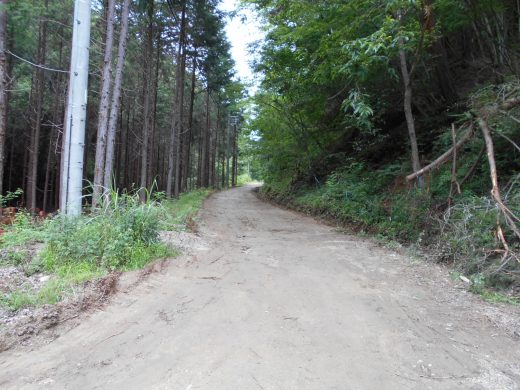 コースコンデションも最高でした。